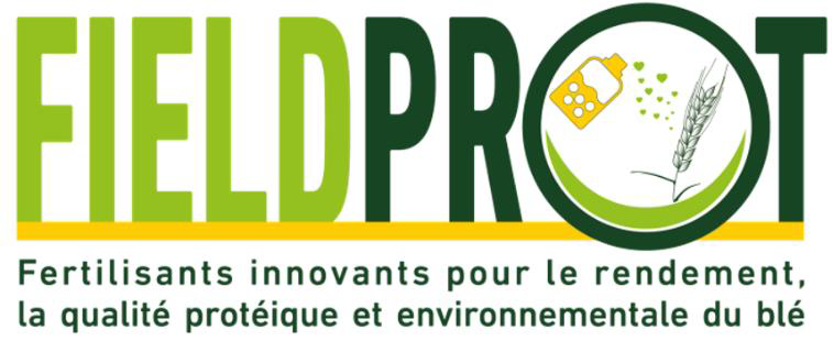 Logo Field Prot